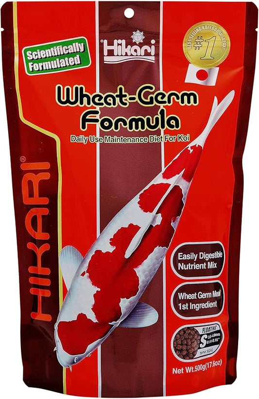 Hikari Usa Inc AHK06242 Wheat Germ 17.6-Ounce Mini