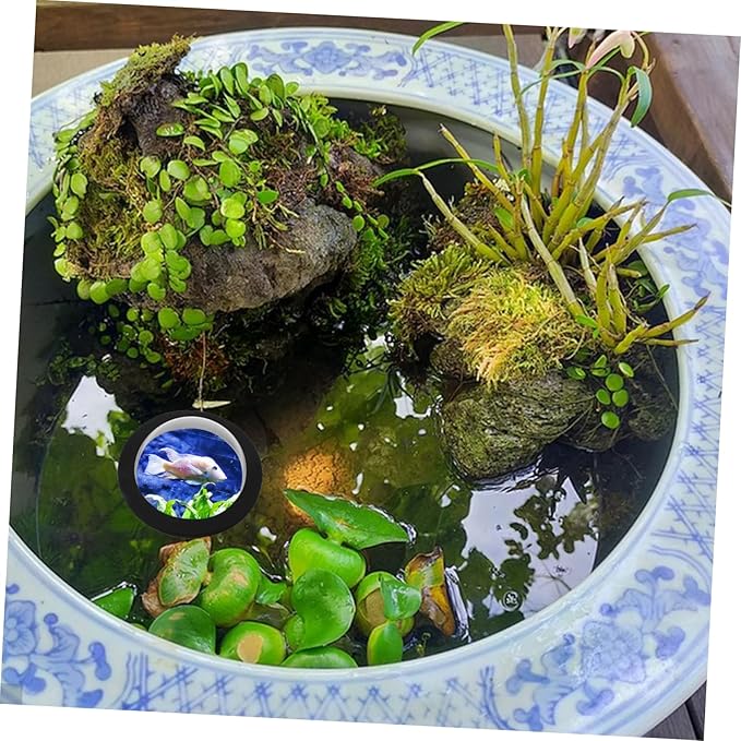 balacoo Floating Fish Dome Acrylic Cover for Fish Observation Durable Transparent Design for Outdoor Aquatic Plants Diameter with Black Base