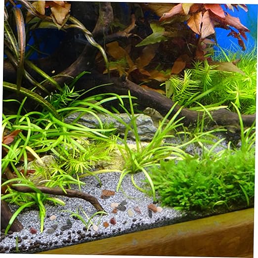 Toyvian Decorative Rocks for Potted Plants Aquarium Stones Black Sand for Fish Tank Realistic Stream Stones Fish Tank Grit Space Efficient for Small Aquariums