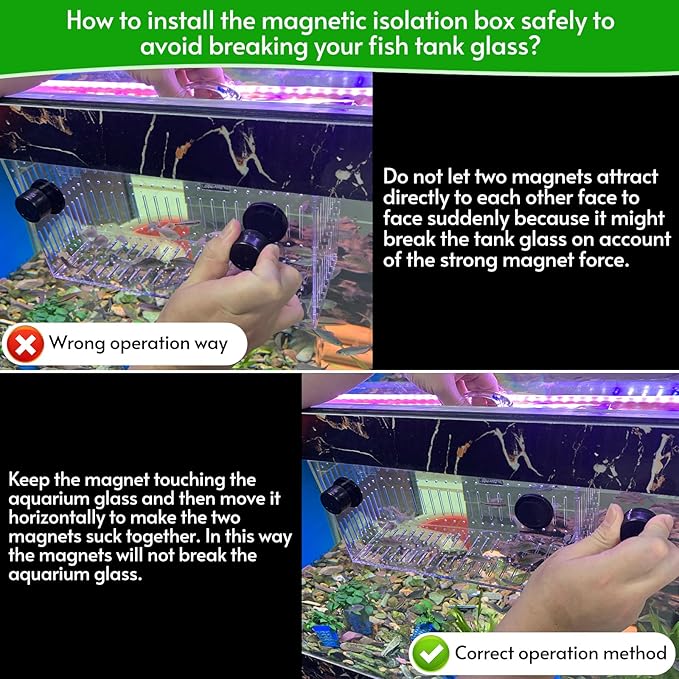 Magnet Acclimation Box for Saltwater Fish Quarantine Aquarium Isolation Box for Aquarium Fish Anemone Reef Coral