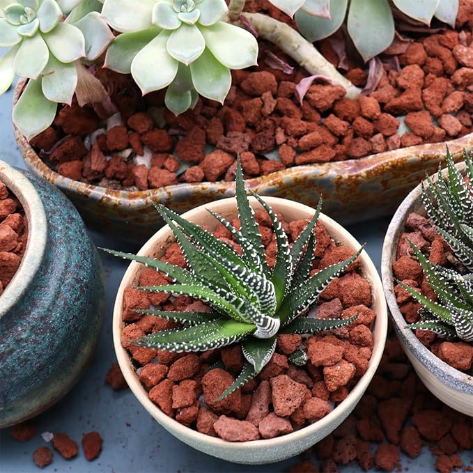 Volcanic Rock for Plants. Red Color Lava Rock. 1/5 Inch - 10 lbs for Potting Succulents, Pots, Plants, Gardening, Indoor, Crafting, Vase Fillers
