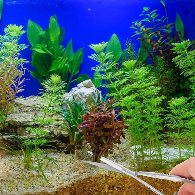 Aquarium Water Grass Stainless Steel Spring Action Curved Aquatic Plant Tongs Fish Tank Landscaping Tools for Aquarium Embroidery
