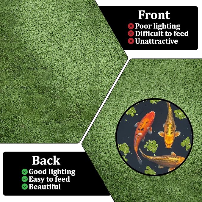 10Pcs Fish Feeding Ring for Fish Tank 5 Sizes Aquarium Floating Plant Barrier Round Floating Plant Corral Aquarium Accessories for Fishes Tank Floatings Plants