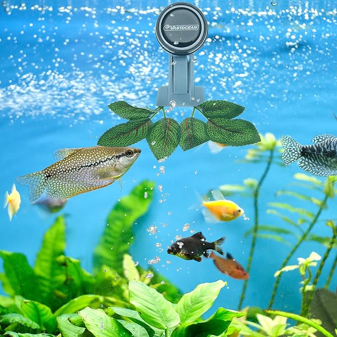 Blulu 4 Pcs Magnetic Seaweed Feeding Clips Saltwater Aquarium Tank Accessories Algae Magnet Seaweed Feeder for Fish and Aquatic Pets, Automatic Fish Feeder