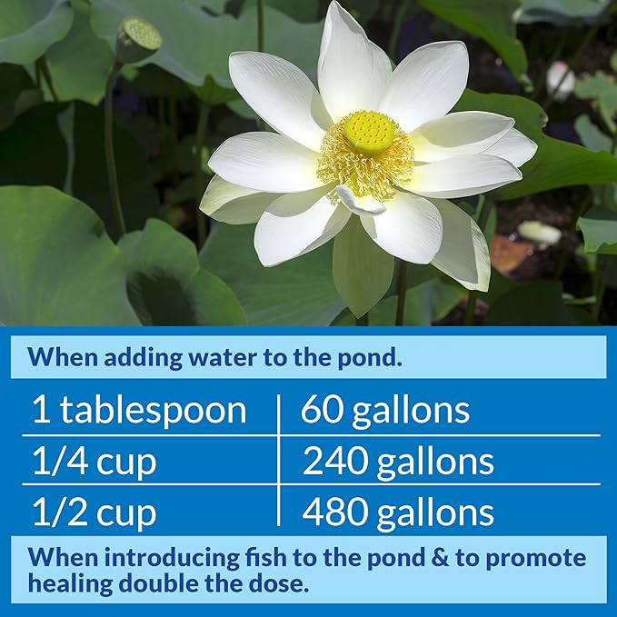 API POND STRESS COAT (32 fl oz) Pond Water Conditioner - Quickly Makes Tap Water Safe for Fish & Plants - Up to 3840 Gallons - Removes Chlorine, Ammonia & More - Aloe Vera - Natural Active Ingredient