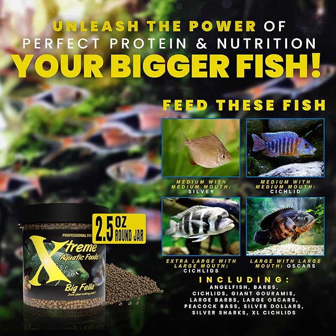 Xtreme Big Fella 3.0mm Pellets: Professional Nutrition for Medium to Large Cichlid/Community Fish - Boost Immune & Digestive Health, Color & Energy, Max Protein Fish Food – USA Farm Grown (2.5oz)