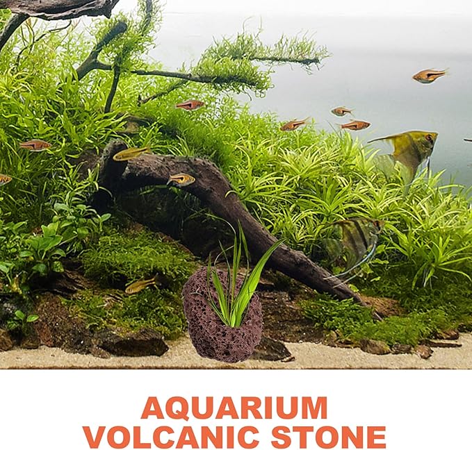Yardwe Aquarium Rocks Volcanic Rocks 6Pcs Decorative Rocks Fish Tank Aquarium Landscape Ornaments (Random Color)