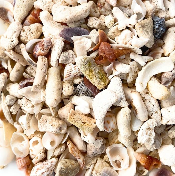 Middle Keys Marine Life LLC FINE Florida Keys Crushed Coral Aquarium Gravel 2.5 LB (~70 in3) for Aquariums, Terrariums, Vases, Landscaping, Bonsai, School Projects, Shell ID, Bio-Filtration