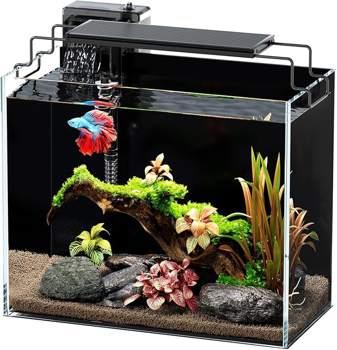 3 Gallon Fish Tank Aquarium Kit with HOB Filter, LED Light with Timer, Lid, Siphon Vacuum Cleaner, Self Cleaning Glass Rimless Betta Tank