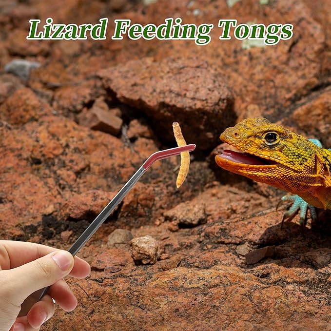 Stainless Steel Reptile Feeding Tongs, Curved Aquarium Tweezers with Rubber Tip, Terrarium Tongs for Gecko, Lizard & More, 10.63" Length, Red