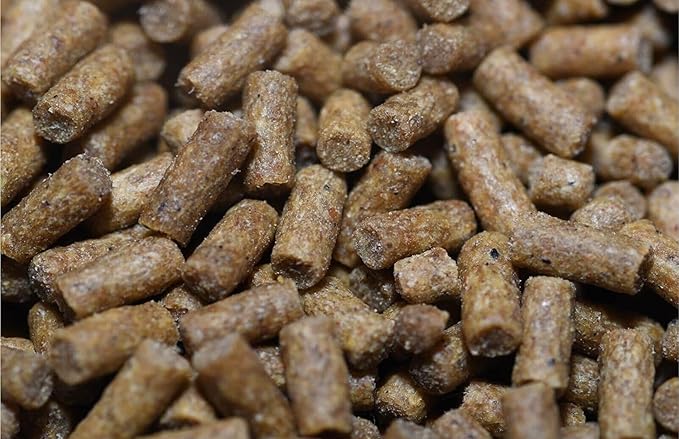 Wpc-Co. 1LB Sinking Pellets for Freshwater Bottom Feeders, Shrimp & Snails – 2.4mm Aquarium Food for Corydoras, Loaches, Plecos, Otocinclus, Nerite, Mystery Snails & Freshwater Shrimp