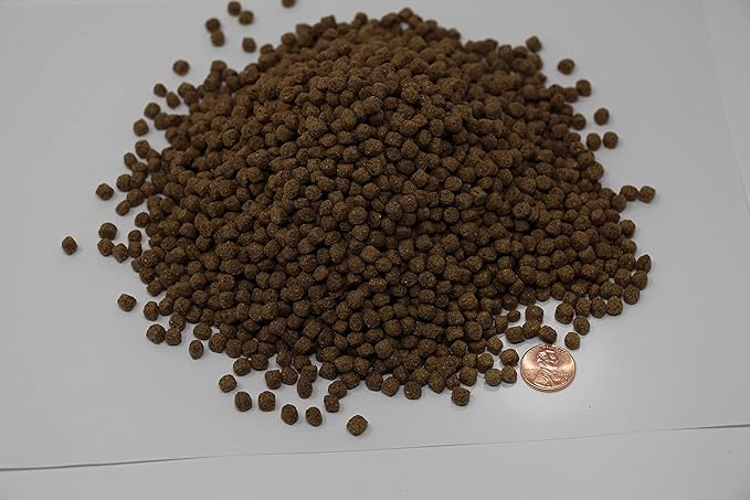 Blackwater Gold-N Professional Diet 40lb Medium Pellet