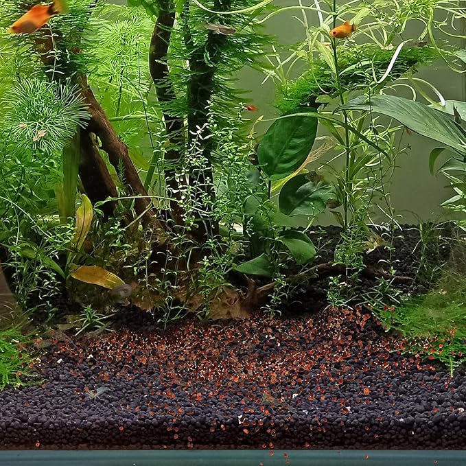 ULTECHNOVO Natural Aquarium Gravel and Fish Tank Sand, 500g Bulk Loose Multi-Function Aquarium Stones for Fish Tank Decorations and Plant Landscaping