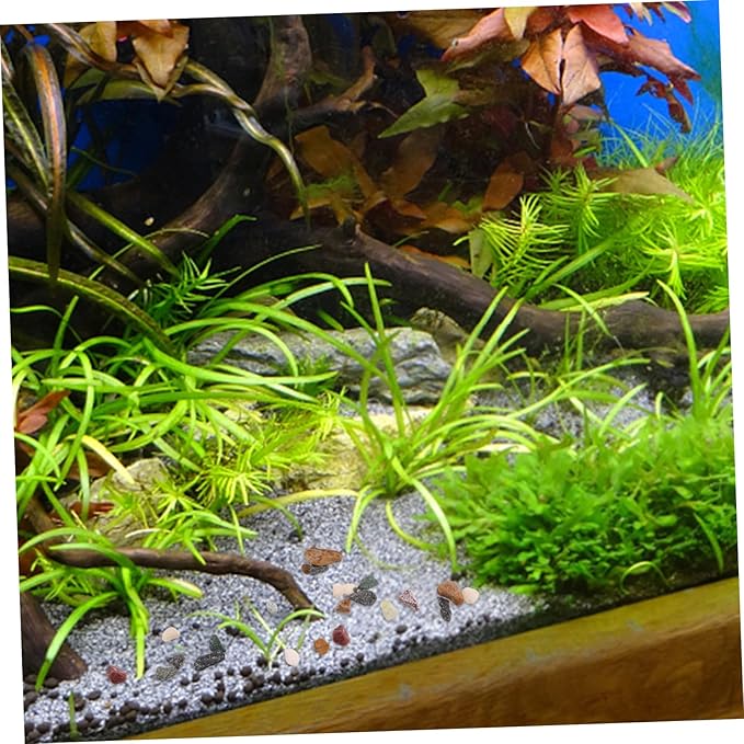BESPORTBLE Quartz Sand Aquarium Stones Fish Tank Grit for Aquascaping Coarse Sand Stone for Decorative Bottom