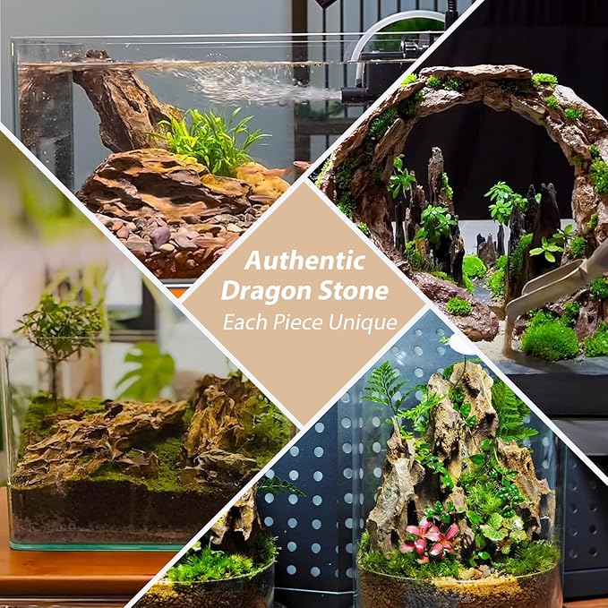 Dragon Rocks Aquariums Stones Natural Rocks for Aquascaping, Aquariums, Terrariums, Vivariums Decorative Stone,Reptile Enclosures,Paludariums,and Gardens-10lb（2 to 7 inch）