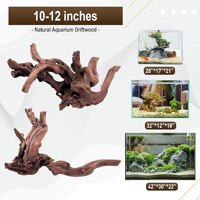 Kaiyuan Dynasty 2Pcs 10-12" Natural Coral Driftwood for Fish Tank Decorations Aquarium Driftwood for Reptile Aquatic Plants Aquascaping