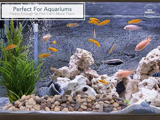 River Rocks Decorative Ornamental Vase Filler 1"-1.5" Natural Aquarium Gravel 2 lbs - Landscaping Pebbles for Indoor Plants, Fish Tank Gravel, Terrarium& Home Decor, DIY & Crafting – Royal Imports