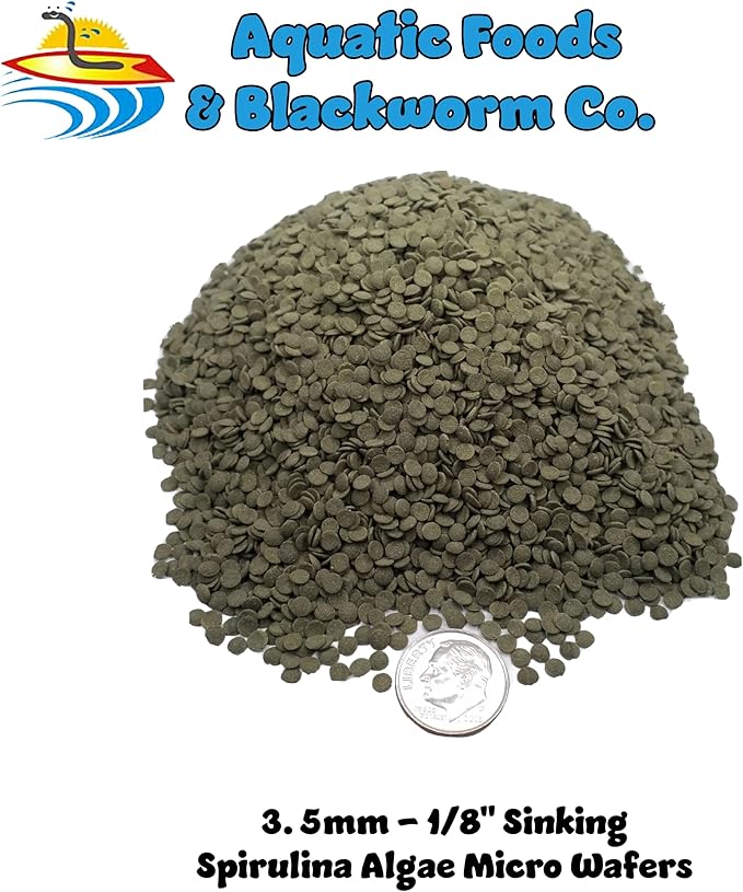 3.5mm - 1/8" Micro Sinking Wafers of Algae, Spirulina, Veggies for All Tropicals, Shrimp, Snails, Crabs, Catfish, Small Plecos Tropical Fish…2-lb Jar