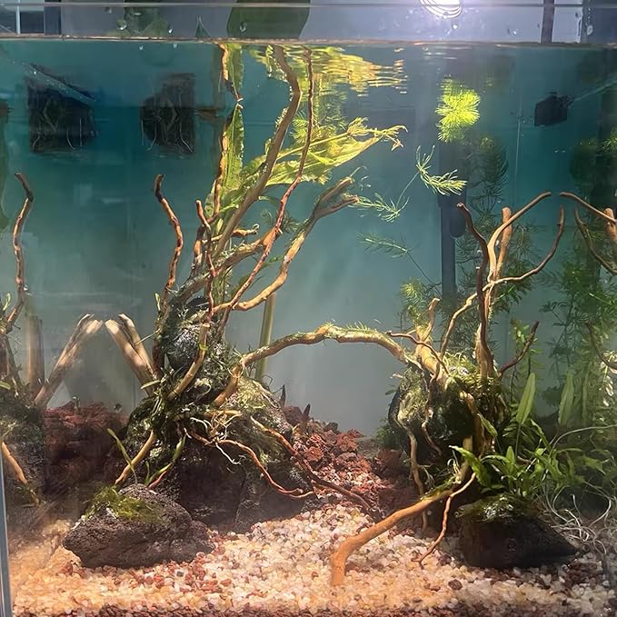 kathson Natural Driftwood for Aquarium, Red Moor Driftwood Mix 12''-16'' Long Driftwood for Decorations Aquarium Driftwood Assorted Shapes Natural Aquarium Decor Driftwood(100g,Delicate Branches)