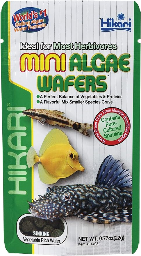 Hikari Mini Algae Wafers, 0.77 oz