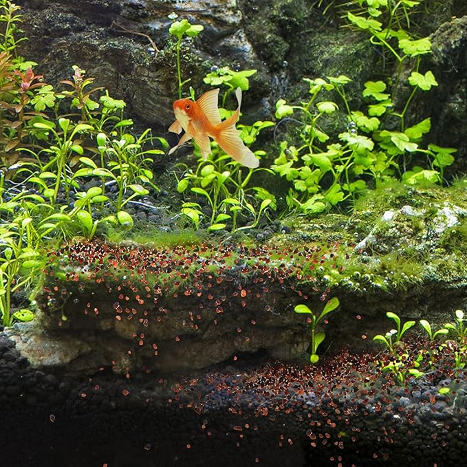 DOITOOL Natural Aquarium Gravel and Decorative Planter Stones 500g Bulk Multi-Function Fish Tank Substrate Sand for Landscaping and Aquatic Pets