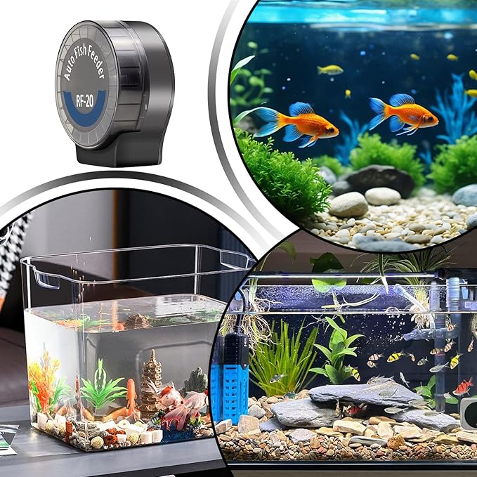 Automatic Fish Feeder | 21 Compartments Automatic Aquarium Food Dispenser with 6 Timers | Large Capacity Fish Tank Feeder | For Betta Turtles
