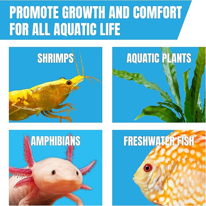 JOR 25 Pack Large Catappa Indian Almond Leaves for Bettas, 7-9 Inches, Effortless Water Conditioning, Great Values, Help Bettas and Tropical Fish Thrive