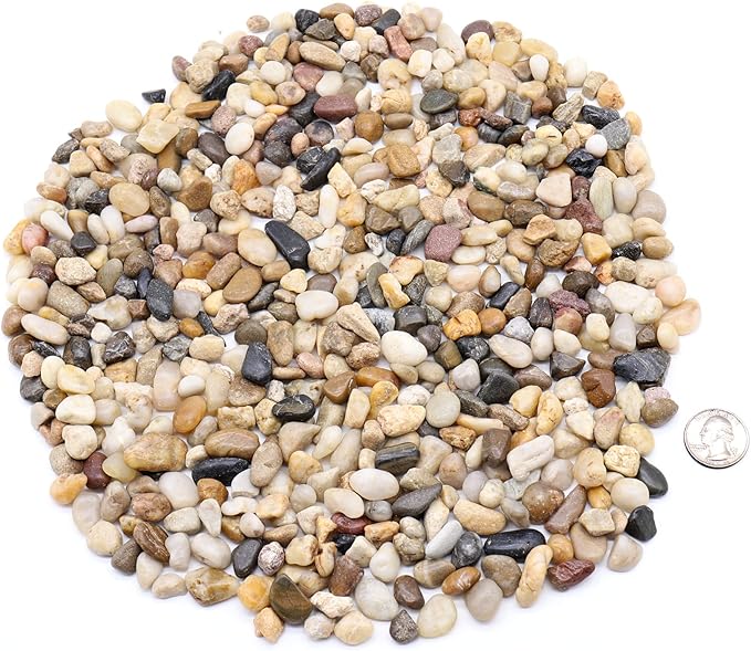 Rocks for Plants. Mixed Color Decorative Pebbles. 1/5 Inch 10 lbs. for Garden, Landscaping, Indoor, Vase fillers, Crafting, Succulents, pots, Plants (Mini, Mixed Color, 10)