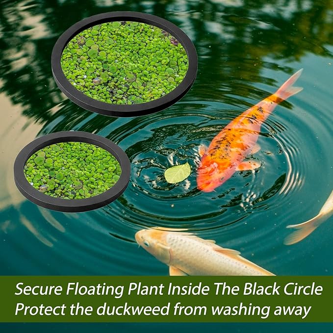 12 Pcs Aquarium Floating Plant Ring Round Fish Feeding Ring Floating Plant Corral Fish Feeder Black 3 Sizes Fish Accessories for Fish Tank Keep in Place Out of Filter