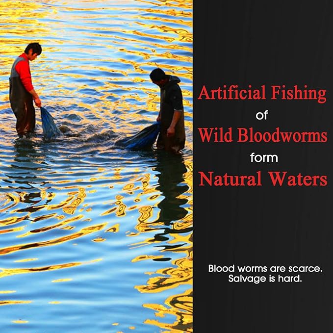 Blood Worms All Natural Tropical Fish Food for Small to Medium Sized Saltwater & Freshwater Fish - Betta Guppy Discus Cichlids Discus Goldfish Angel Fish