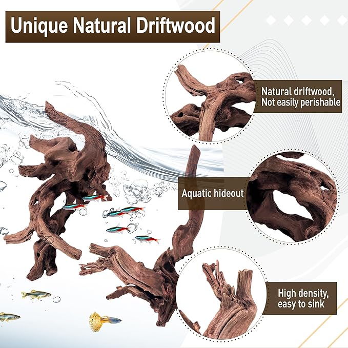 Kaiyuan Dynasty 2Pcs 10-12" Natural Coral Driftwood for Fish Tank Decorations Aquarium Driftwood for Reptile Aquatic Plants Aquascaping