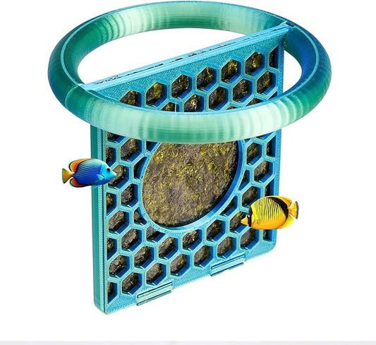 Fish Exercise Ring with Seaweed Feeding, Floating Betta Fish Enrichment Toys Ring, Aquarium Algae Feeder with Training Loop, Aquarium Decor Toy Accessories for Betta (Green)