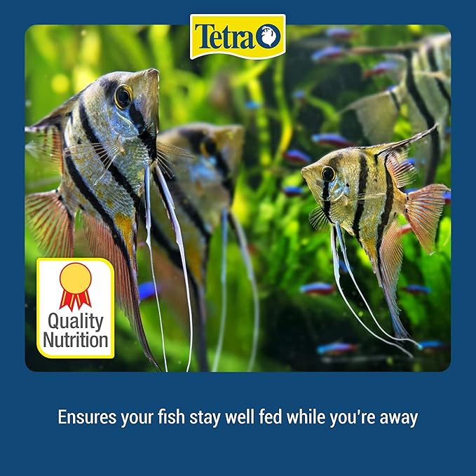 Tetra Weekend and Vacation Feeder Slow-Release Fish Food for Tropical Fish, 1.06 Ounce (Pack of 4)