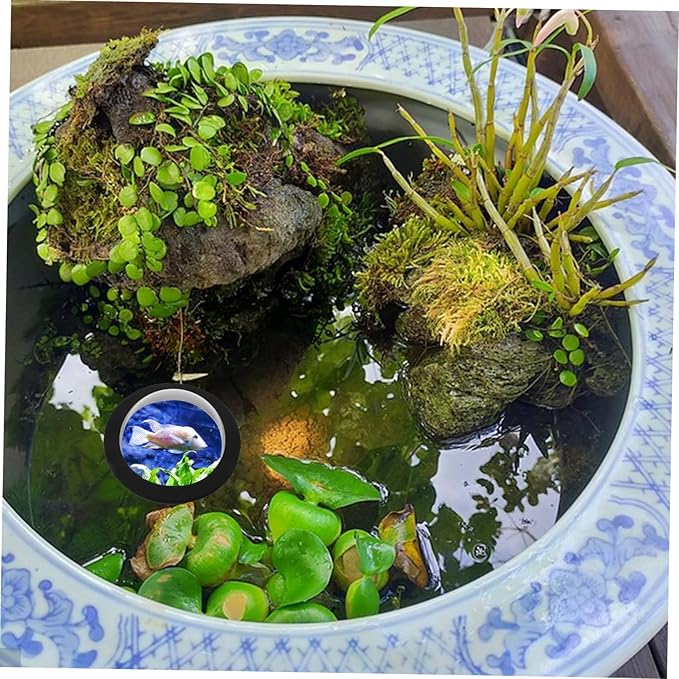 balacoo 2pcs Floating Fish Dome Transparent Cover Convenient Acrylic Floating Cover for Supplies Base for Easy Installation and Maintenance