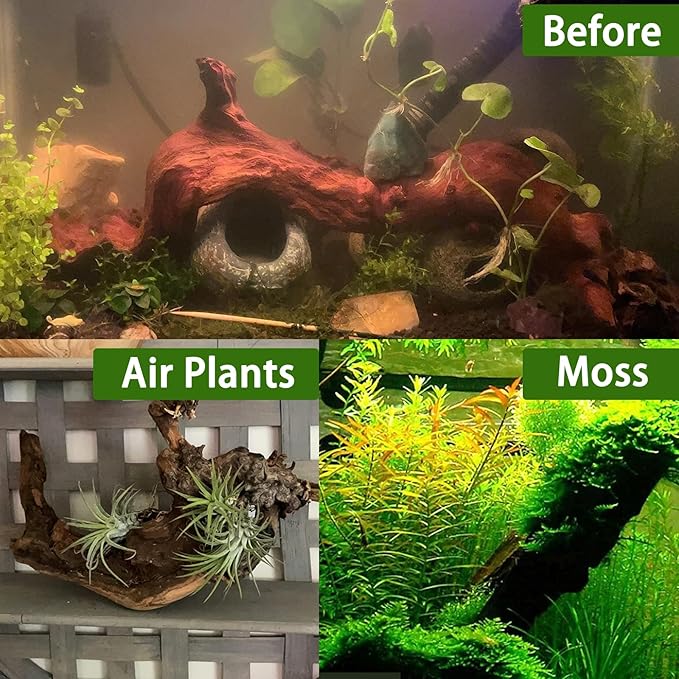 Tfwadmx Natural Driftwood for Aquarium Decor-9-14 Assorted Large Driftwood,Fish Tank Drift Wood Decoration, Freshwater Wood Branches Ornament for Reptile Terrarium,Air Plants