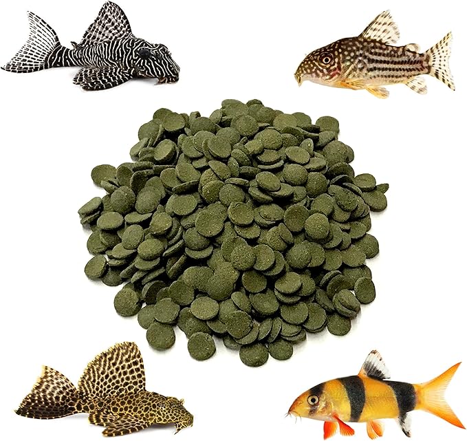 Small 8mm Algae Wafer - Algae Wafers for Bottom Feeders - The Best Pleco Wafers & Pleco Food Available - Algae Wafers for Snails (2 lb)