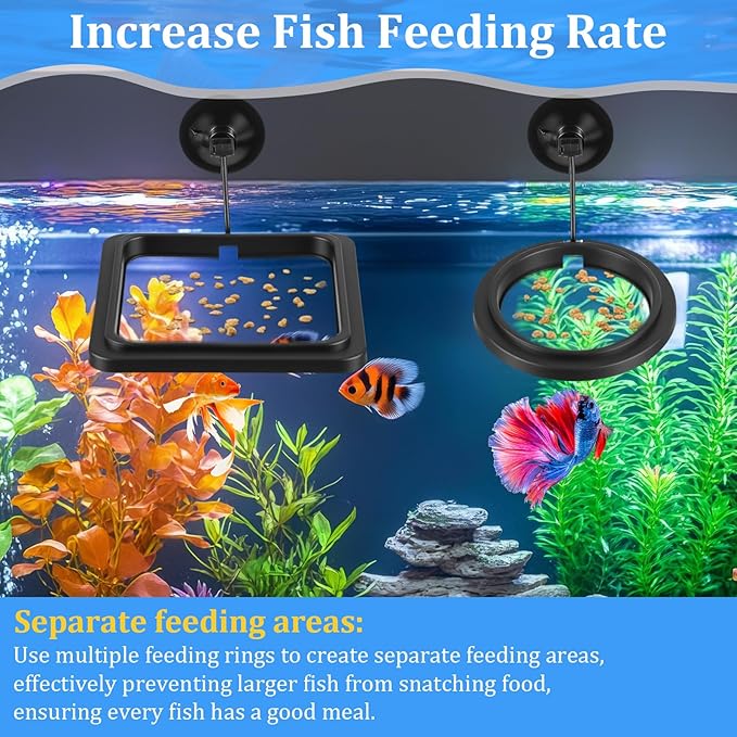 2Pcs Fish Feeding Ring for Aquarium, Aquarium Feeding Ring, Black Turtle Feeding Ring with Suction Cup, Square & Round Floating Food Feeder for Betta, Goldfish, Guppy, Turtle & Small Fish