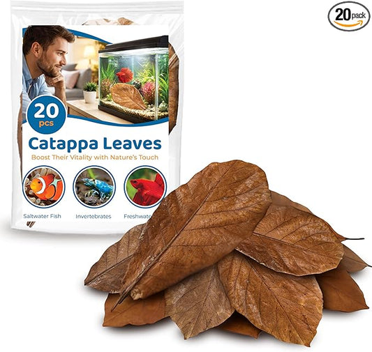 SunGrow 20 Pcs Large Catappa Indian Almond Leaves for Fish Aquarium Tank, 7-8 Inches, Leaf for Successful Breeding & Creating Rainforest Environment, Water Conditioner Leaves for Shrimps, Betta