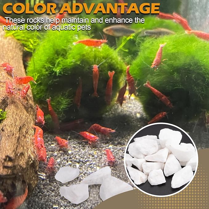 Shrimp Rocks for Aquarium, 5-oz