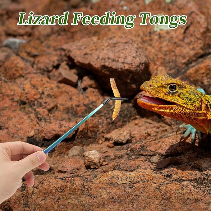 Reptile Feeding Tongs, Stainless Steel Lizard Feeding Tongs, Aquarium Curved Feeding Tweezers for Reptiles W/Rubber Tip, Terrarium Feeding Tongs for Gecko,10.63", Assorted Color