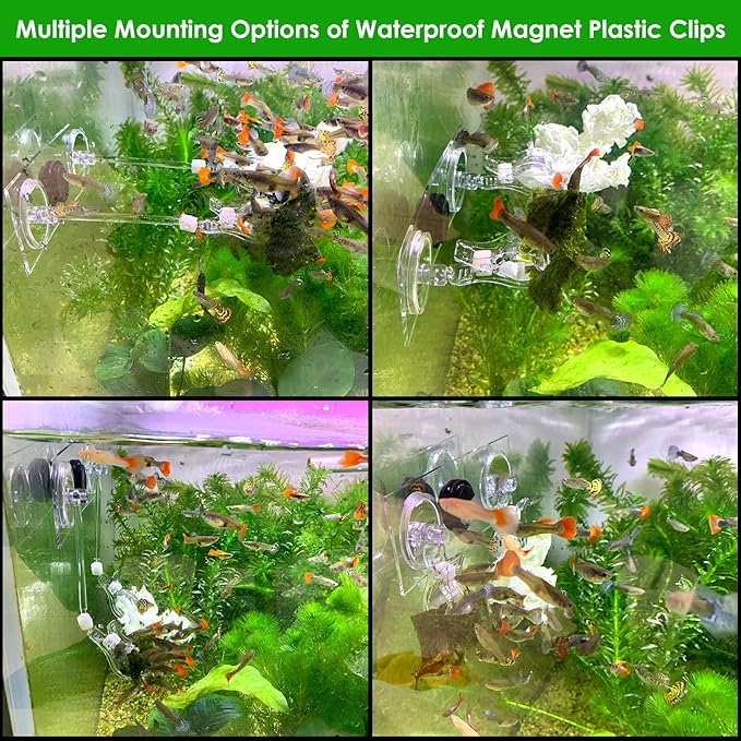 Magnet nori Clips Feeder for Saltwater Fish Tank Accessories Seaweed clamp Holder Coral Seaweed Clip Veggie Feeder Clip for Fish Never Rust