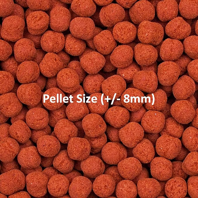 Ocean Nutrition Fish Food - Tropical Fish Food, Soft Moist Sinking Pellets, High Protein(41%) Guppy Food, Fish Food Flakes Alternative, 1.1 lbs (500 g), XL Pellet
