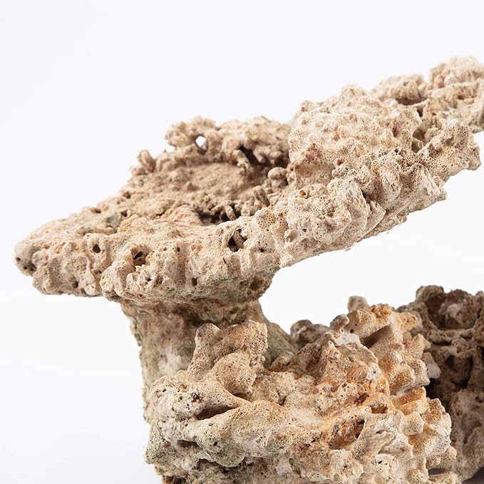iQuatics Aquarium Dried Reef Rock Mixed Pack (5kg)