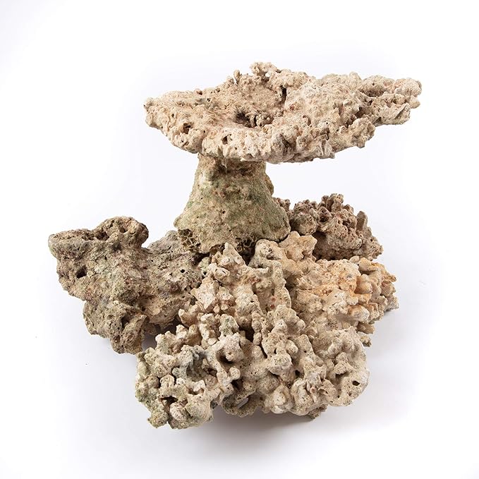 Aquarium Dried Reef Rock Mixed Pack (10kg)