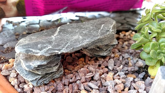 Natural Slate Stone 1 to 3 Inches - USA Sourced and Packaged for Aquascaping Aquariums, Terrariums, Paludariums, Reptile Enclosures, Wargaming, Models, Mosaic Art, Miniature Fairy Gardens (2lbs Grey)