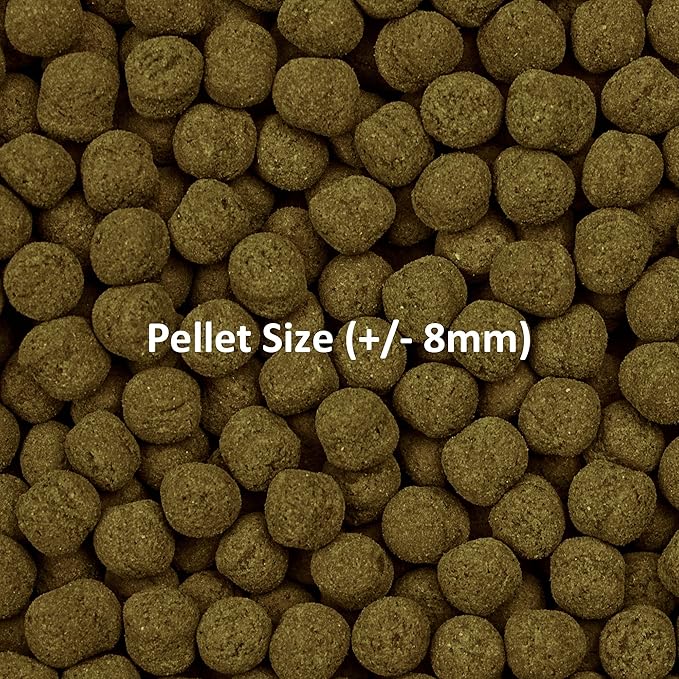 Ocean Nutrition Formula Two Pellets - Fish Food for Herbivorous & Omnivorous Marine Tropical Fish, High Protein(40%) - 1.1 lbs (500 g) XL Pellets