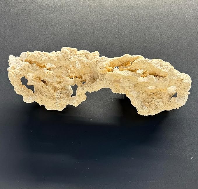 Magnetic Coral Reef Rock Frag Rack