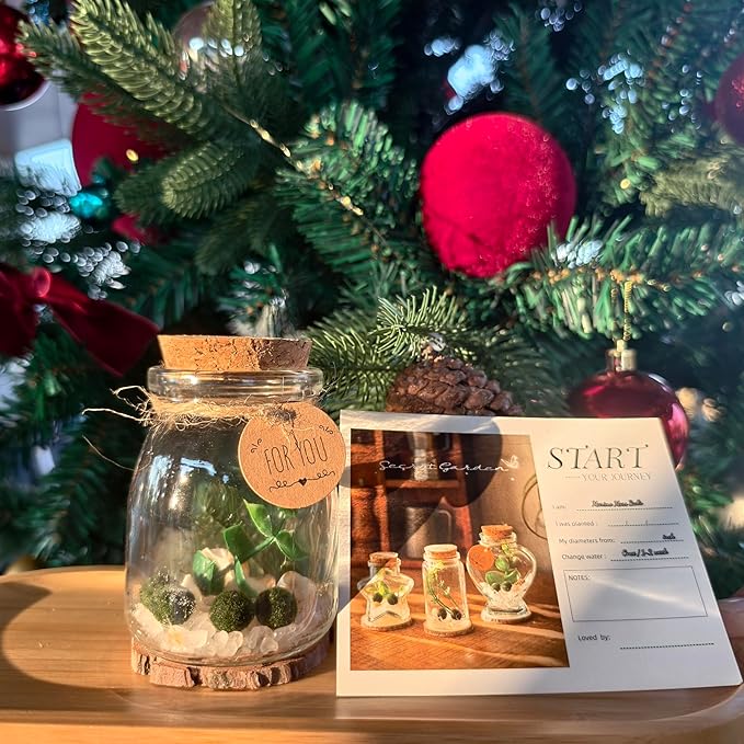 Moss Balls Glass Terrarium Kit - 5 Decorative Green Balls with Glass Jar, White Crystal, DIYAquarium and Desk Decor, Easy-Care Gift for Home and Office