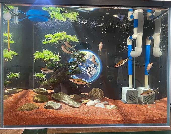 AWXZOM 11lb Natural South American Rainforest Sand, Aquarium red Sand, Lava Rock Soil, Red Lava Rock Sand, Succulent Sand Fish Tank Sand Aquarium Substrate Sand