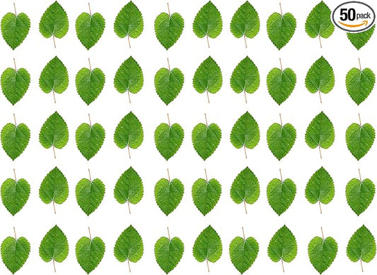 Awesome Aquatic Mulberry Shrimp Leaves Natural Botanical Leaf Food Organic Treat Aquarium Fish Shrimp Terrarium High Protein Vitamin Mineral Fiber Healthy Habitat Environment (Mulberry 50 pk)